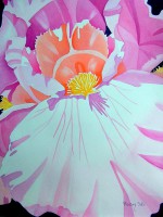 /album/mary-kosary/mary-kosary-2-iris-debut-mary-kosary-jpg1/